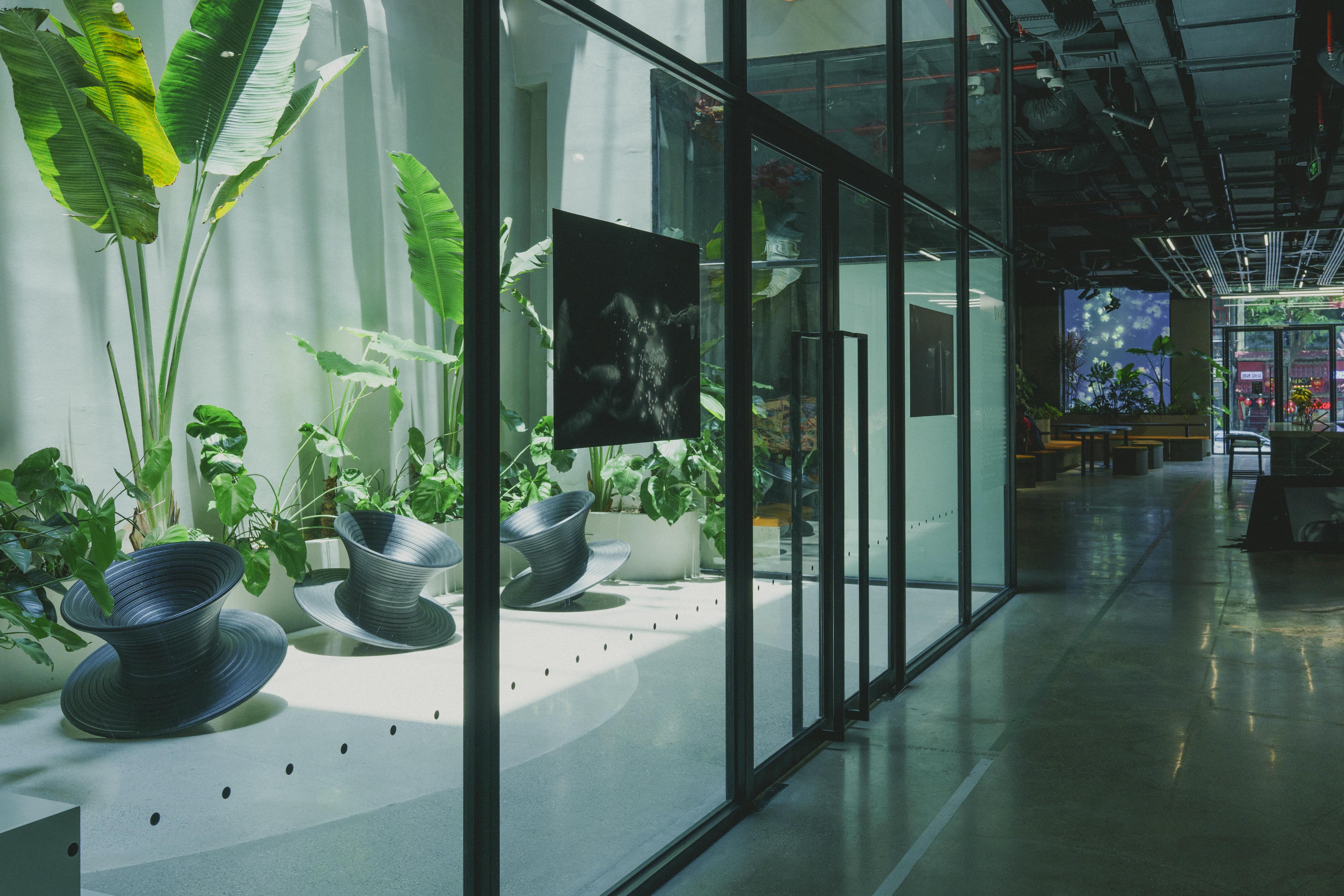 Nắng xuyên qua tán lá, chạm đến từng ý tưởng. Một coworking space đầy sức sống