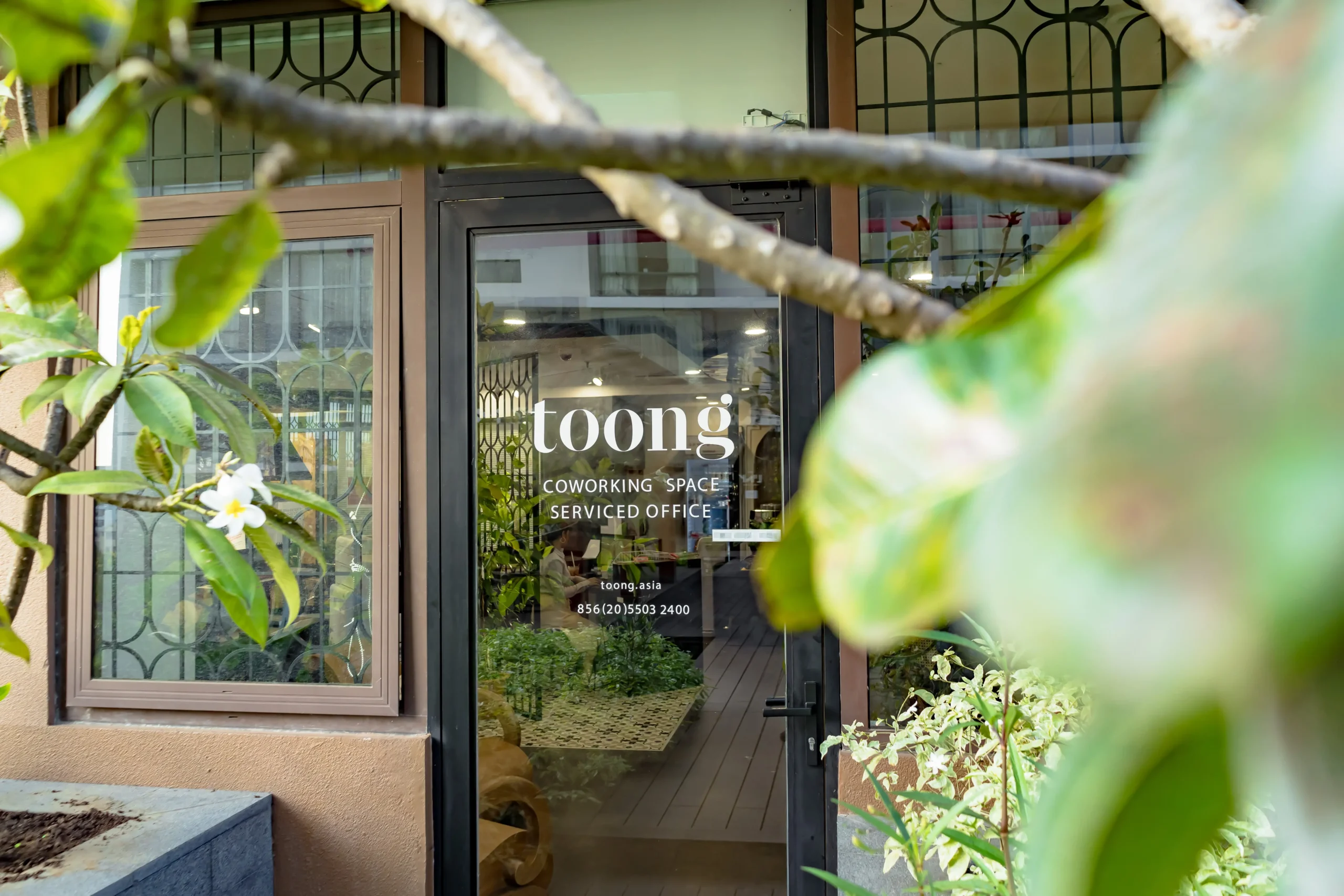 coworking-space-voi-khong-gian-xanh-ben-vung