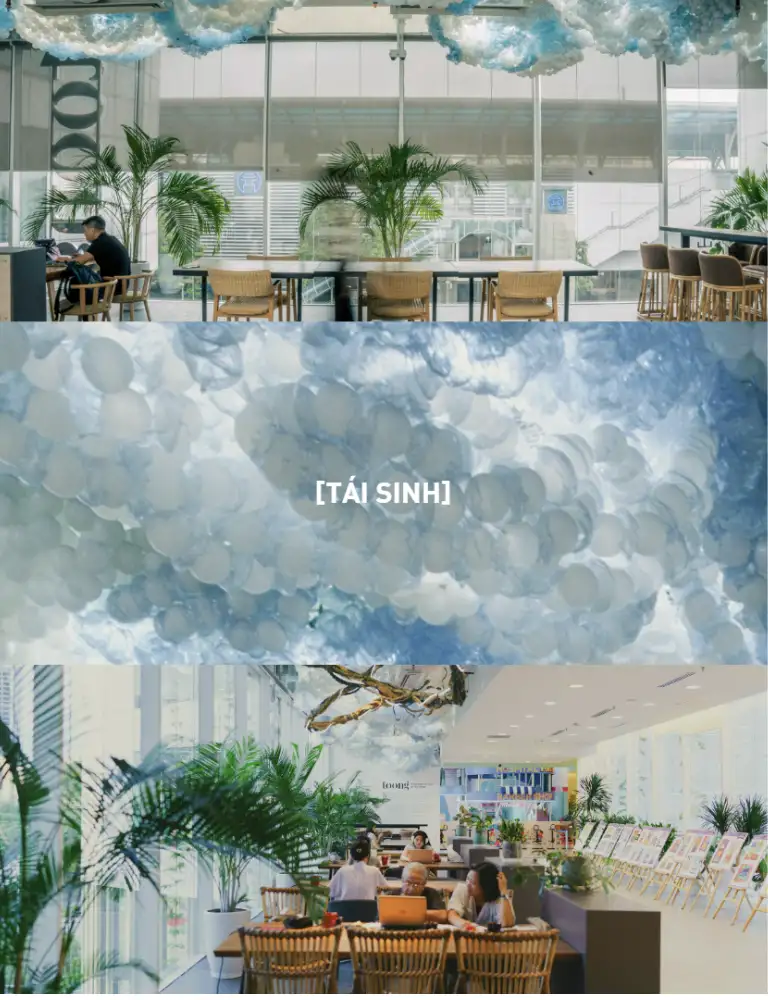 can-canh-mot-goc-lam-viec-tich-hop-bon-cay-canh-tai-mot-coworking-space-the-hien-phong-cach-ben-vung-va-khong-gian-xanh
