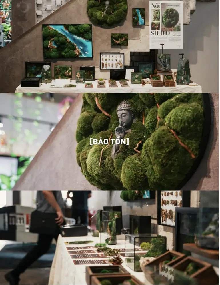 buc-tuong-cay-tu-nhien-diem-nhan-doc-dao-cho-coworking-space-huong-toi-loi-song-ben-vung-va-khong-gian-xanh
