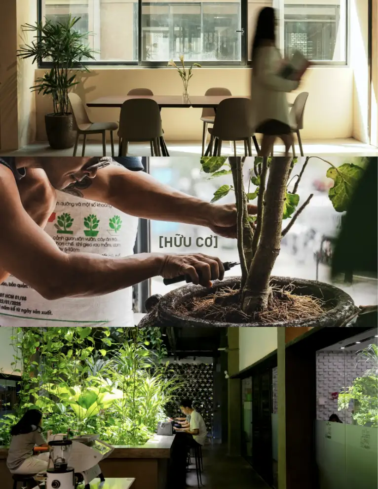 kien-truc-mo-toi-uu-anh-sang-mat-troi-nuoi-duong-khong-gian-xanh-tai-mot-coworking-space-ben-vung